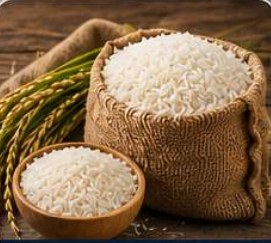 Rice